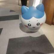 ヒメ日記 2025/09/15 07:32 投稿 浅倉みなみ 全裸美女からのカゲキな誘惑