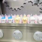 ヒメ日記 2025/10/19 07:42 投稿 浅倉みなみ 全裸美女からのカゲキな誘惑