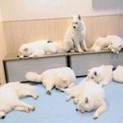 ヒメ日記 2026/01/20 07:51 投稿 浅倉みなみ 全裸美女からのカゲキな誘惑