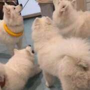 ヒメ日記 2026/01/21 08:02 投稿 浅倉みなみ 全裸美女からのカゲキな誘惑