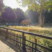 ヒメ日記 2026/02/01 09:35 投稿 浅倉みなみ 全裸美女からのカゲキな誘惑