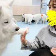 ヒメ日記 2026/02/17 08:28 投稿 浅倉みなみ 全裸美女からのカゲキな誘惑