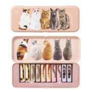 ヒメ日記 2026/02/22 23:08 投稿 浅倉みなみ 全裸美女からのカゲキな誘惑