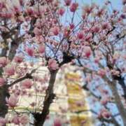 ヒメ日記 2026/03/24 06:28 投稿 浅倉みなみ 全裸美女からのカゲキな誘惑