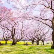 ヒメ日記 2026/03/28 08:45 投稿 浅倉みなみ 全裸美女からのカゲキな誘惑