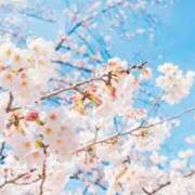 ヒメ日記 2026/03/29 07:33 投稿 浅倉みなみ 全裸美女からのカゲキな誘惑