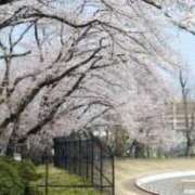 ヒメ日記 2026/03/30 09:36 投稿 浅倉みなみ 全裸美女からのカゲキな誘惑