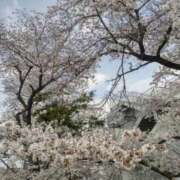 ヒメ日記 2026/03/31 07:17 投稿 浅倉みなみ 全裸美女からのカゲキな誘惑