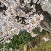 ヒメ日記 2026/04/01 06:22 投稿 浅倉みなみ 全裸美女からのカゲキな誘惑