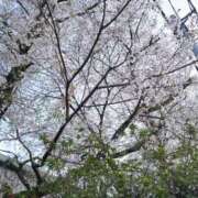 ヒメ日記 2026/04/03 08:33 投稿 浅倉みなみ 全裸美女からのカゲキな誘惑