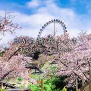 ヒメ日記 2026/04/04 08:58 投稿 浅倉みなみ 全裸美女からのカゲキな誘惑