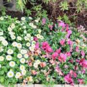 ヒメ日記 2026/04/05 09:08 投稿 浅倉みなみ 全裸美女からのカゲキな誘惑