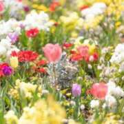 ヒメ日記 2026/04/24 05:58 投稿 浅倉みなみ 全裸美女からのカゲキな誘惑