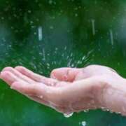 ヒメ日記 2025/05/06 14:26 投稿 黒沢美波 五十路マダムエクスプレス船橋店(カサブランカグループ)