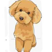 ヒメ日記 2026/02/28 19:26 投稿 黒沢美波 五十路マダムエクスプレス船橋店(カサブランカグループ)