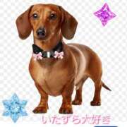 ヒメ日記 2026/09/06 03:04 投稿 黒沢美波 五十路マダムエクスプレス船橋店(カサブランカグループ)