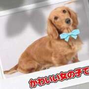 ヒメ日記 2026/09/11 03:20 投稿 黒沢美波 五十路マダムエクスプレス船橋店(カサブランカグループ)