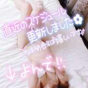 ヒメ日記 2024/12/08 12:01 投稿 あやみ 成田人妻花壇