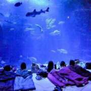 ヒメ日記 2024/12/21 07:45 投稿 あやみ 成田人妻花壇