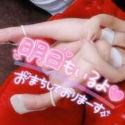 ヒメ日記 2024/12/24 00:30 投稿 あやみ 成田人妻花壇