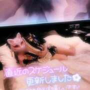 ヒメ日記 2024/12/26 12:01 投稿 あやみ 成田人妻花壇