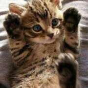 ヒメ日記 2025/01/08 07:45 投稿 あやみ 成田人妻花壇