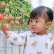 ヒメ日記 2025/02/05 07:45 投稿 あやみ 成田人妻花壇