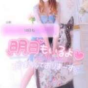 ヒメ日記 2025/02/10 03:30 投稿 あやみ 成田人妻花壇