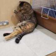 ヒメ日記 2025/02/13 07:45 投稿 あやみ 成田人妻花壇