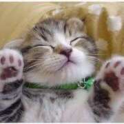 ヒメ日記 2025/03/17 07:45 投稿 あやみ 成田人妻花壇