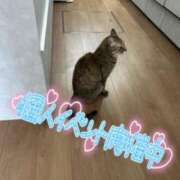 ヒメ日記 2025/03/28 18:00 投稿 あやみ 成田人妻花壇