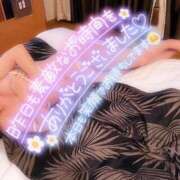 ヒメ日記 2025/04/12 07:15 投稿 あやみ 成田人妻花壇