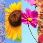 ヒメ日記 2025/04/16 07:45 投稿 あやみ 成田人妻花壇