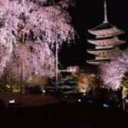 ヒメ日記 2025/04/18 07:45 投稿 あやみ 成田人妻花壇