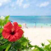 ヒメ日記 2025/04/21 07:45 投稿 あやみ 成田人妻花壇