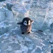 ヒメ日記 2025/04/25 07:45 投稿 あやみ 成田人妻花壇