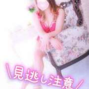 ヒメ日記 2025/05/07 12:00 投稿 あやみ 成田人妻花壇