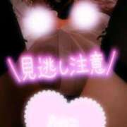 ヒメ日記 2025/05/13 12:00 投稿 あやみ 成田人妻花壇