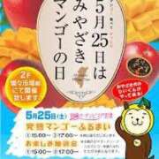 ヒメ日記 2025/05/25 07:45 投稿 あやみ 成田人妻花壇