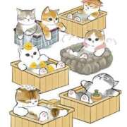 ヒメ日記 2025/05/26 07:45 投稿 あやみ 成田人妻花壇