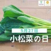 ヒメ日記 2025/05/27 07:45 投稿 あやみ 成田人妻花壇