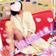 ヒメ日記 2025/05/31 19:00 投稿 あやみ 成田人妻花壇