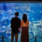 ヒメ日記 2025/06/17 07:45 投稿 あやみ 成田人妻花壇