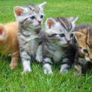 ヒメ日記 2025/07/23 07:45 投稿 あやみ 成田人妻花壇