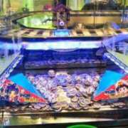 ヒメ日記 2025/08/05 07:45 投稿 あやみ 成田人妻花壇