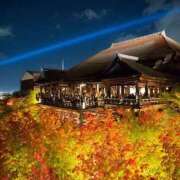 ヒメ日記 2025/08/06 07:45 投稿 あやみ 成田人妻花壇