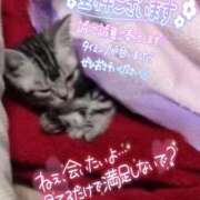 ヒメ日記 2025/08/12 16:00 投稿 あやみ 成田人妻花壇