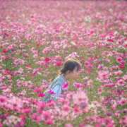 ヒメ日記 2025/09/14 07:45 投稿 あやみ 成田人妻花壇