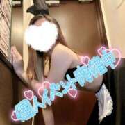 ヒメ日記 2025/10/03 18:00 投稿 あやみ 成田人妻花壇