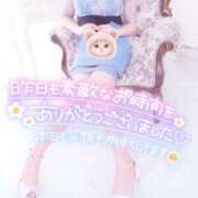 ヒメ日記 2026/03/06 07:15 投稿 あやみ 成田人妻花壇